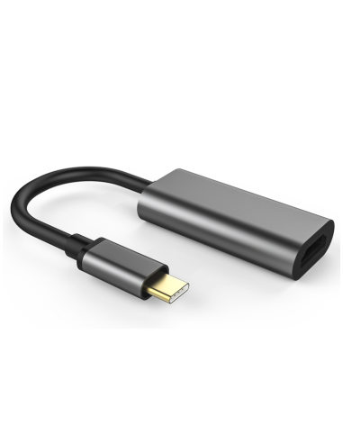 Adaptateur USB-C (M)