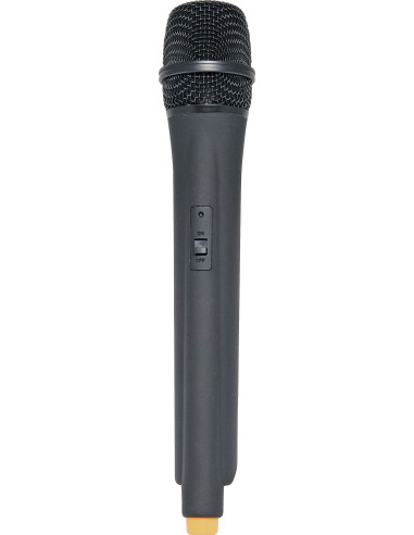 Micro UHF deux micros main | Micro sans fil professionnel
